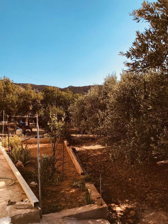 Country House Pachia Ammos Екстериор снимка
